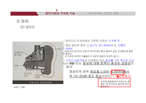 청각기관의 해부 및 관련 질환-7