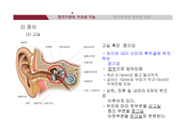 청각기관의 해부 및 관련 질환-10