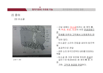 청각기관의 해부 및 관련 질환-11