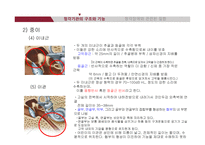청각기관의 해부 및 관련 질환-12