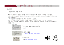 청각기관의 해부 및 관련 질환-13