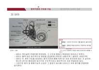 청각기관의 해부 및 관련 질환-14