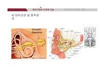 청각기관의 해부 및 관련 질환-16