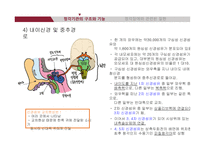 청각기관의 해부 및 관련 질환-17