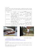 뇌성마비 CerebralPalsy보고서-6