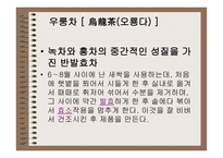 차녹차의 특성과 효과-5