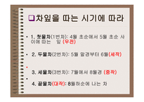 차녹차의 특성과 효과-7