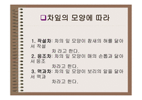차녹차의 특성과 효과-8