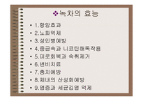 차녹차의 특성과 효과-12