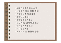 차녹차의 특성과 효과-13