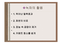 차녹차의 특성과 효과-16