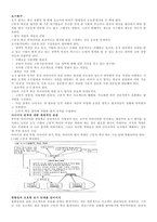 래디컬 요약 -9