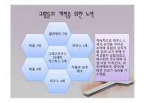 카톨릭 종교개혁 - 배경과 과정 -11