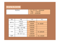 즉석 choice 떡볶이 사업계획서 -13