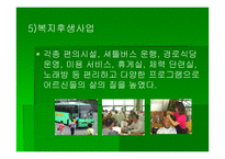 노인복지사업 - 노인복지기관의 문제점과 해결방안 -19