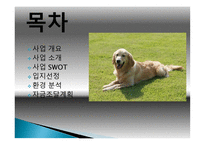 애견 카페 사업계획서 -2