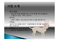 애견 카페 사업계획서 -4