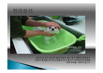 애견 카페 사업계획서 -11