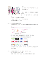 사업계획서 - 마케팅 관리론 - 사랑은 힐패드를 타고 -6