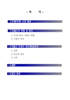 분임 연구 보고서 - 출산율 향상 방안 -2