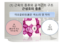 체육의 기초 과학 - 원활한 체육활동을 하기 위한 과학적인 기초지식  -9