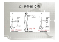 체육의 기초 과학 - 원활한 체육활동을 하기 위한 과학적인 기초지식  -11