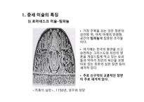 이탈리아 외 지역 예술 - 중세미술과 르네상스 미술의 차이점 -8