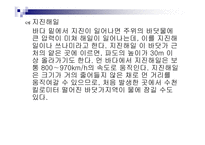 재난대처방법 - 재난시 응급상황 대처법 -15