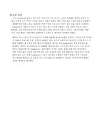 [서비스경영사례] 사우스웨스트 사례-10