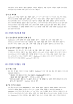 [서비스경영사례] 사우스웨스트 사례-13