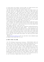 [정보사회] 인터넷종량제와 정보불평등-11