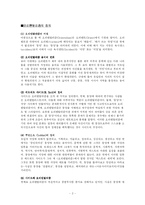 [현대문화론] 오리엔탈리즘의 문화-2