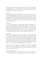 [일반사회교육론] 스트랜드중심의 통합-2