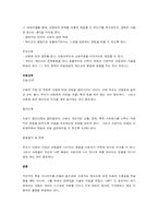 인지-행동 놀이치료-3