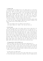 [언어] 제4장 의미론 4-4. 의미의 변화-9