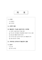 선거와 TV토론 -국회의원 선거 TV토론의 방향-2