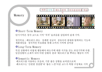 [소비자행동론] 현대카드w, 페브리지, 아이리버 Iriver Thumbthing, 레모나 광고분석-18
