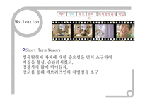 [소비자행동론] 현대카드w, 페브리지, 아이리버 Iriver Thumbthing, 레모나 광고분석-19