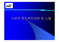 [소비자행동] 푸마 광고를 통한 소비자정보처리과정-6