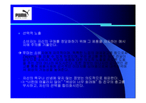 [소비자행동] 푸마 광고를 통한 소비자정보처리과정-11