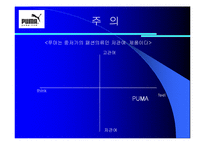 [소비자행동] 푸마 광고를 통한 소비자정보처리과정-13