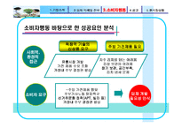 [소비자행동론] 딤채 성공마케팅전략과 채움 실패사례-11