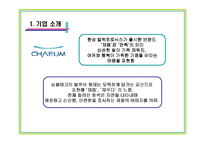 [소비자행동론] 딤채 성공마케팅전략과 채움 실패사례-19