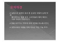 미쟝센 퍼펙트 세럼 - 시장분석 -9