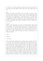 리바이스 기업 소개 -12