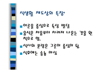 한국과 일본의 음식문화 - 특징 -6