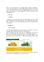 캡스톤 디자인 결과보고서(더 샴푸의 해외진출전략) -4