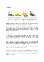 캡스톤 디자인 결과보고서(더 샴푸의 해외진출전략) -6