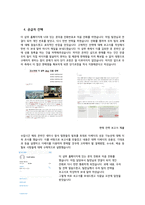캡스톤 디자인 결과보고서(더 샴푸의 해외진출전략) -7