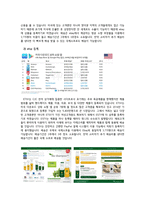 캡스톤 디자인 결과보고서(더 샴푸의 해외진출전략) -10